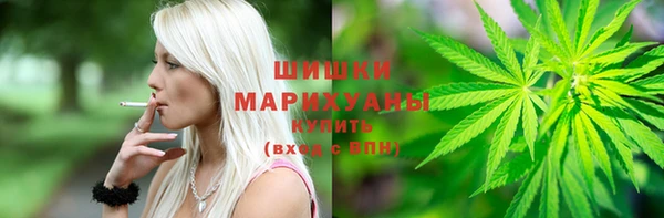 Альфа ПВП Бугульма