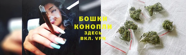 дурь Снежногорск