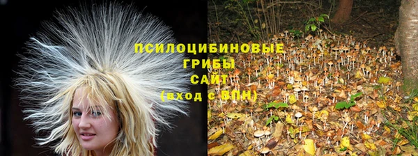 таблы Слюдянка