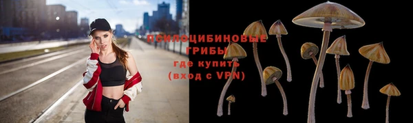 ешки Бронницы